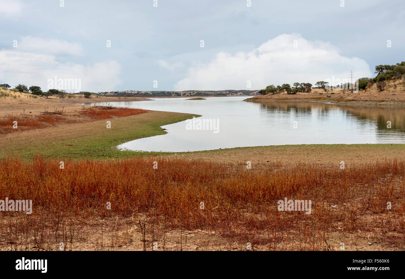 Wasser im See Teich im Alentejo-mPortugal in der Nähe von Moura Stockfoto
