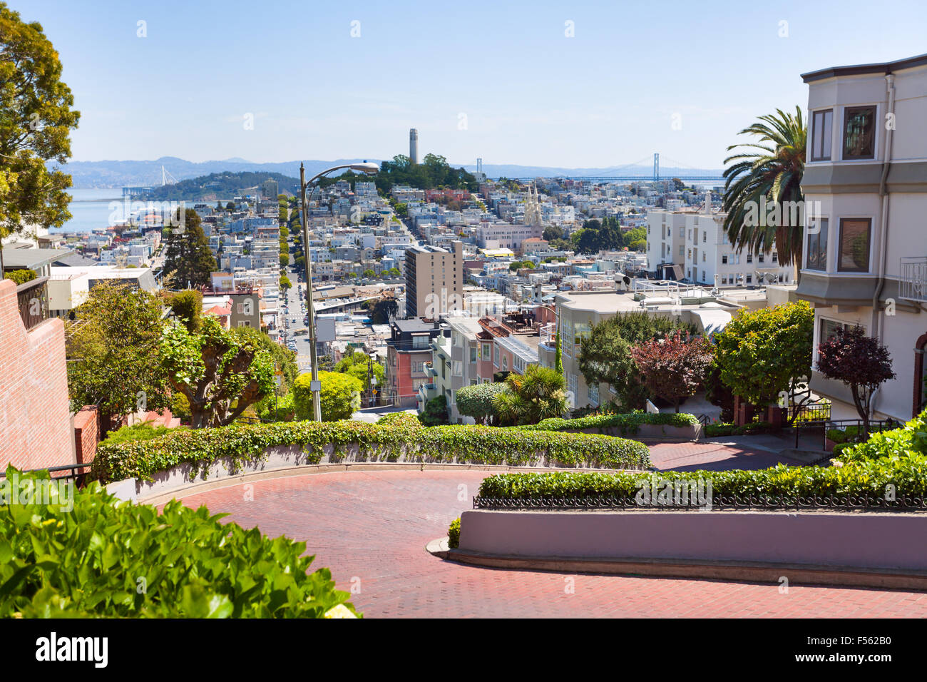 Blick auf die Lombard Street, Stadtbild, San Francisco Stockfoto