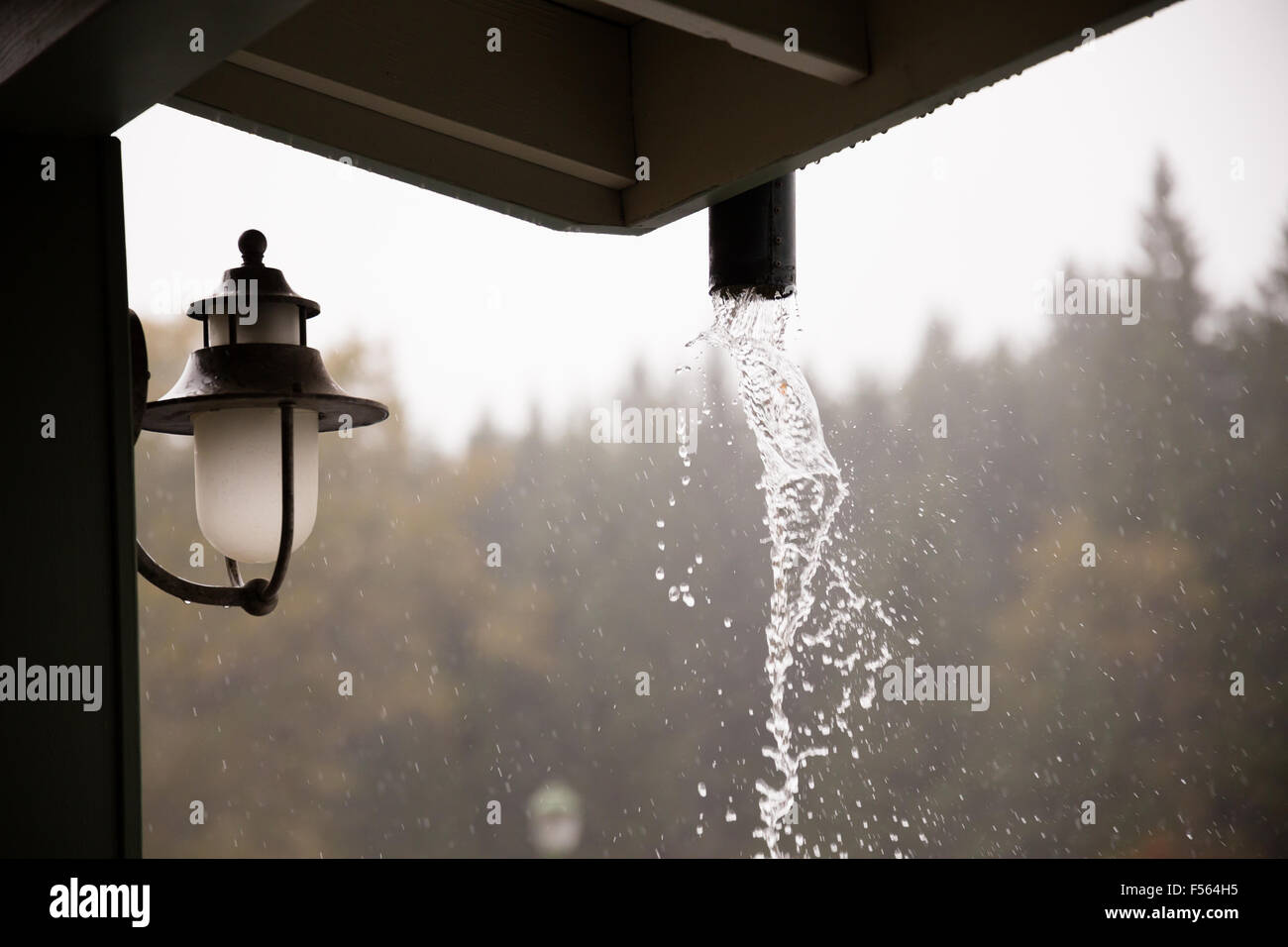 Regen kommt unten hart in diesem Sturm in Oregon, typisches Wetter im Herbst oder im Herbst. Stockfoto