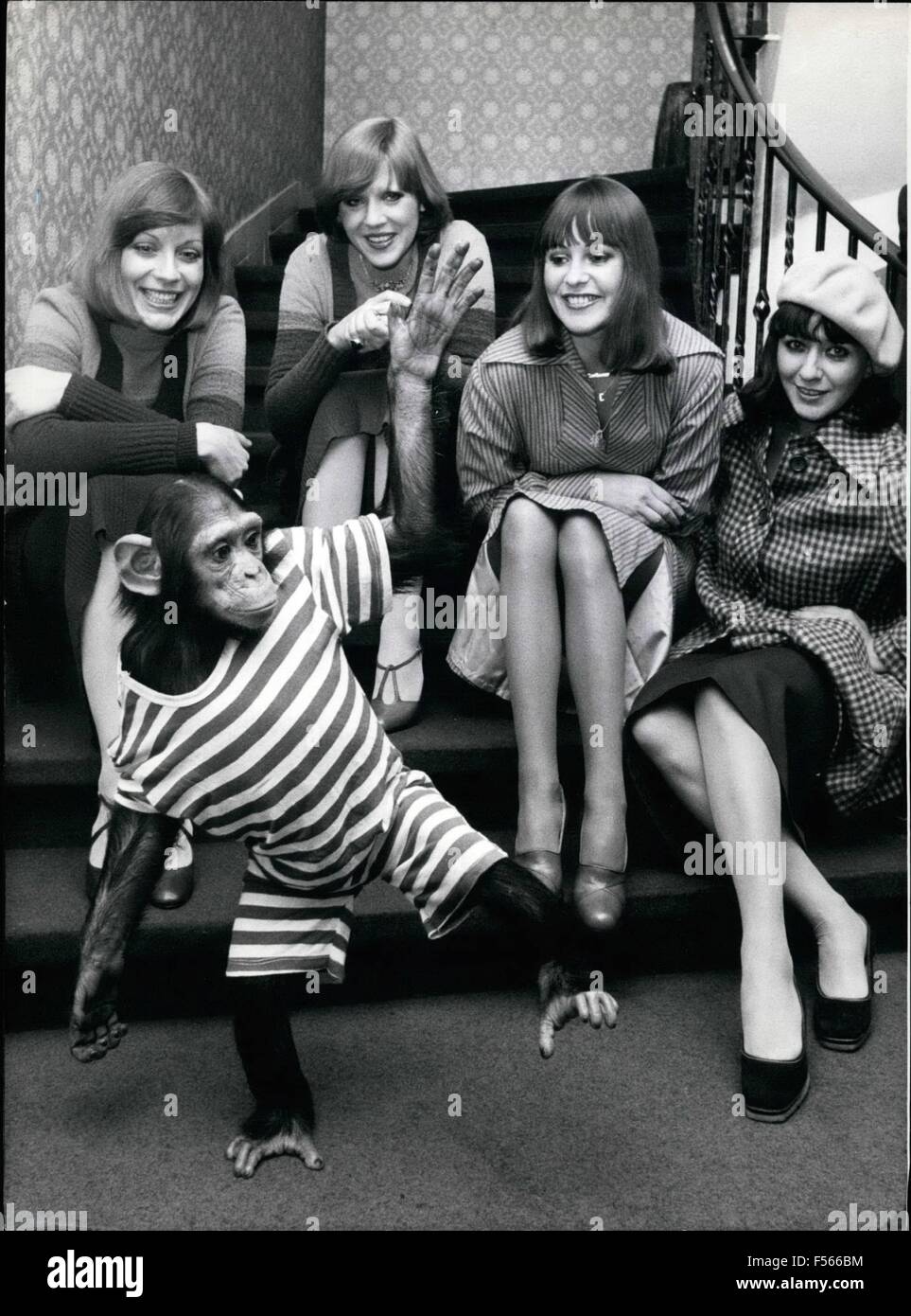 1968 - tanzen für ein hübsches Publikum: sicherlich gibt '' Tonga'' Champ ein gutes Gefühl, das Tier ist die '' Star'' des Ferienparks Hablach (Pfalz), wo vor kurzem eine Party für Damen, organisiert von der deutschen Automobilclub stattfand. Teil der Veranstaltung war eine Präsentation von Damenschuhen, die geeignet sind, für das Autofahren. © Keystone Bilder USA/ZUMAPRESS.com/Alamy Live-Nachrichten Stockfoto