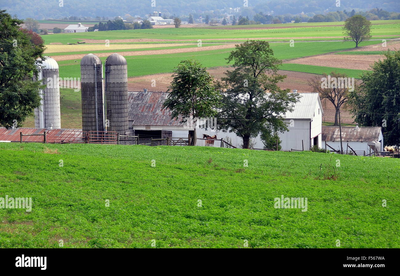 Lancaster County, Pennsylvania: Unberührte amischen Bauernhof inmitten der sanften Äcker und Felder Stockfoto