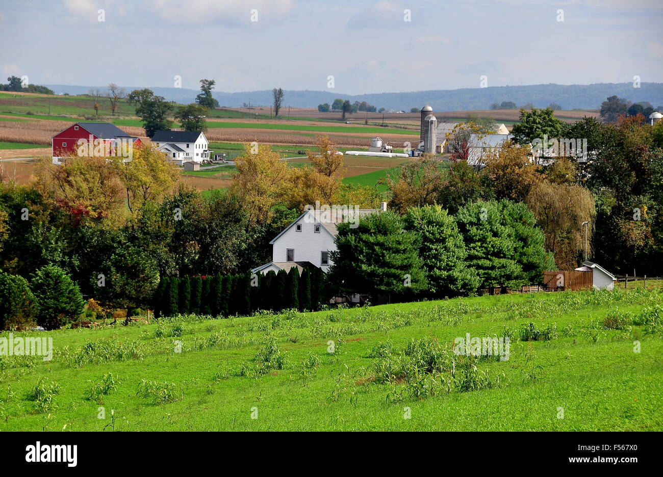 Lancaster County, Pennsylvania: Unberührte Amish Bauernhöfe inmitten der sanften Ackerland Stockfoto
