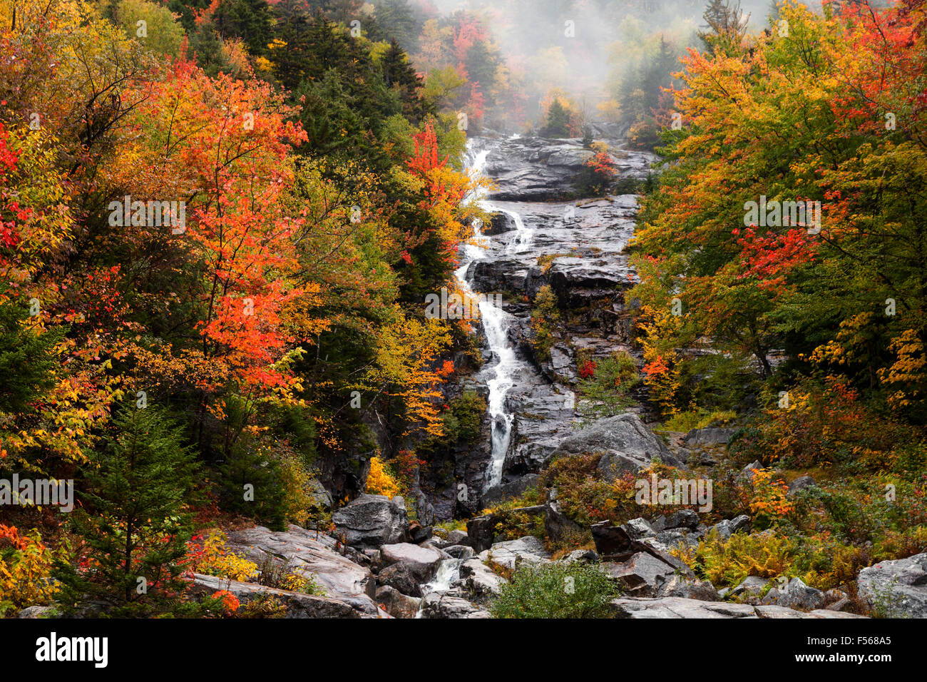 Cascade Wasserfall, Crawford Notch State Park, White Mountains, New Hampshire New England USA Silber Stockfoto