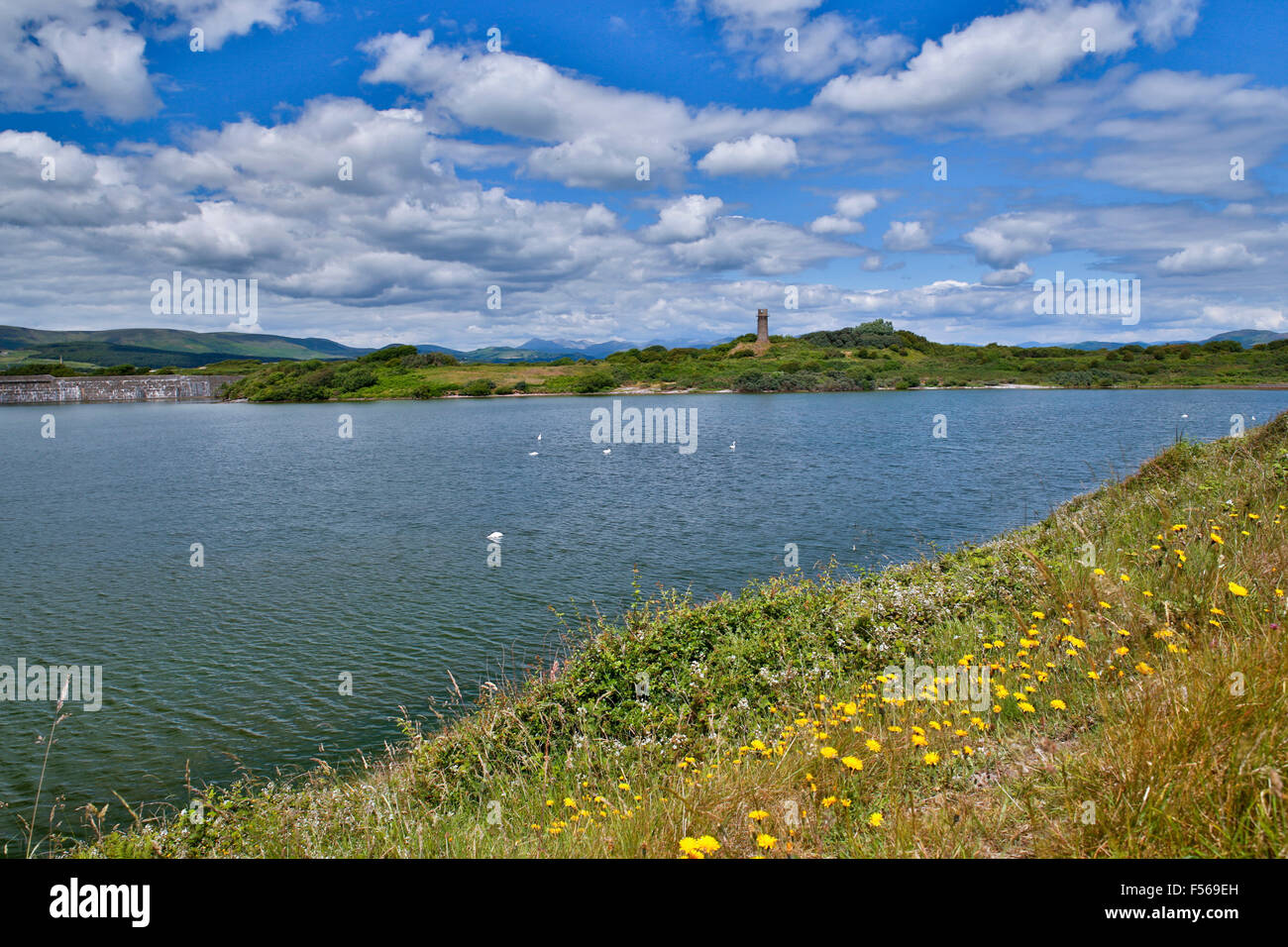 Hodbarrow; RSPB Reserve Cumbria; UK Stockfoto