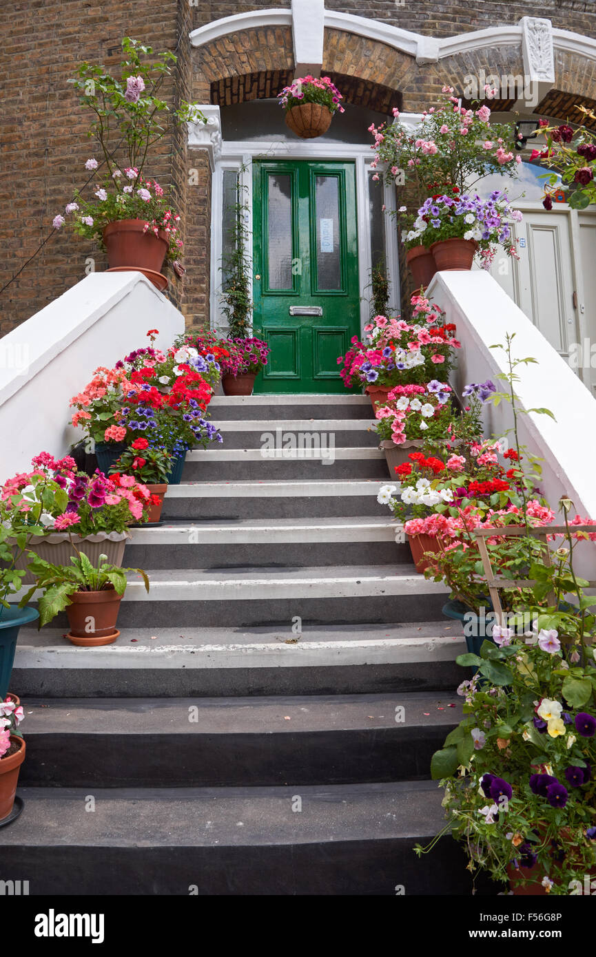 Treppe zur Haustür des Reihenhaus, dekoriert mit Blumentöpfen und Blumen, London England Vereinigtes Königreich UK Stockfoto