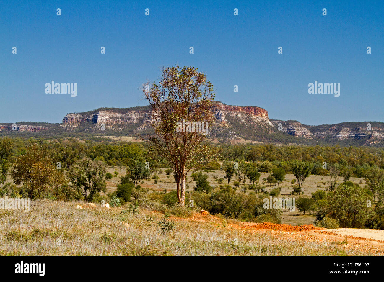 Riesige Outback-Landschaft mit Carnarvon reicht von Salvator Rosa Nationalpark steigt in blauen Himmel über Baum getarnte Ebenen, Australien Stockfoto