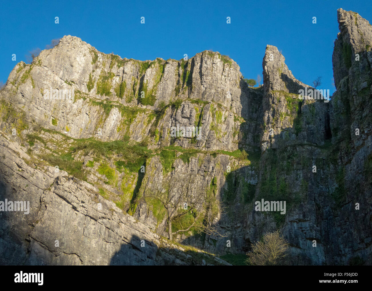 Cheddar Gorge, Somerset, England Stockfoto