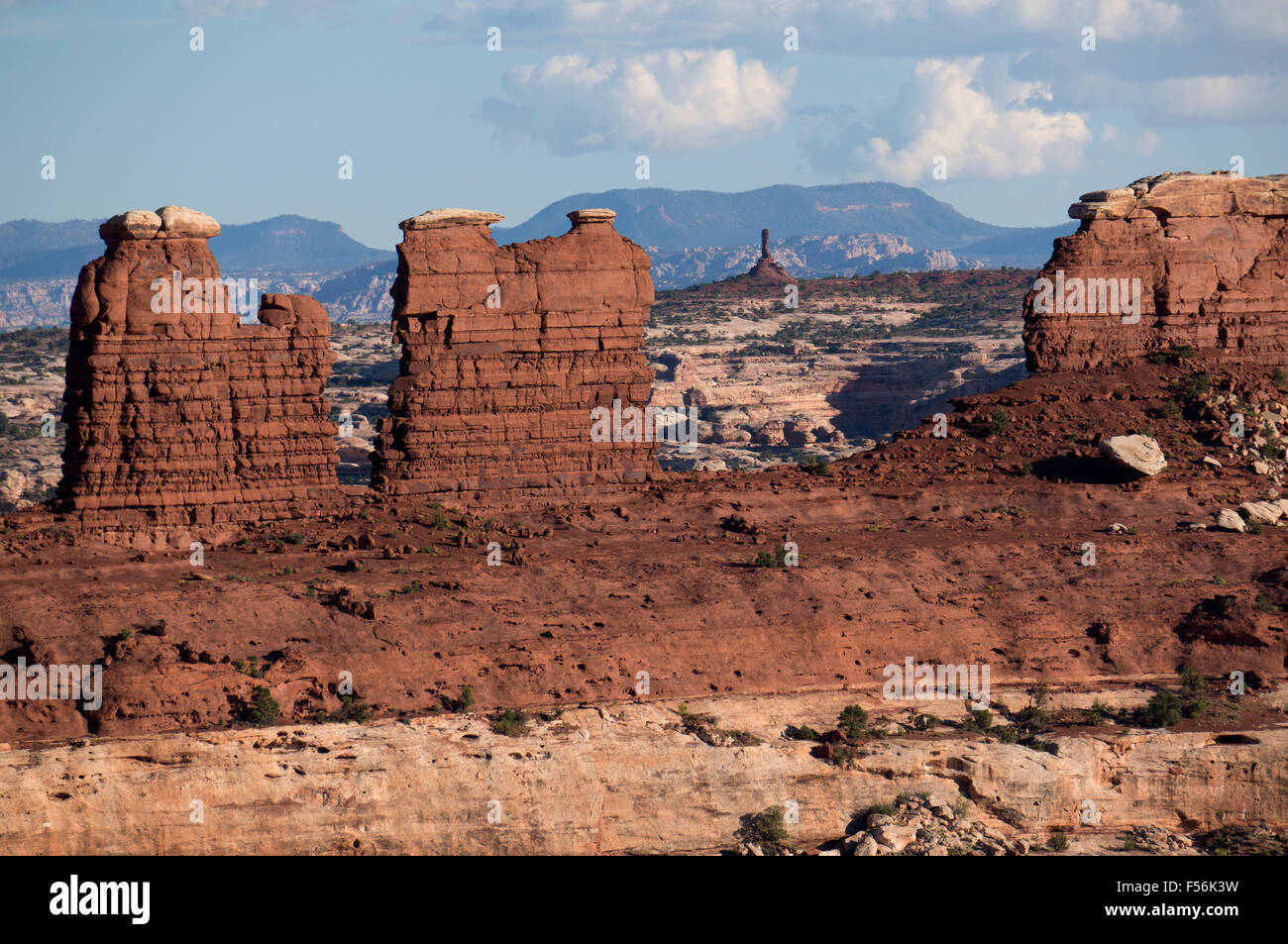 Sandstein-Felsformationen am Labyrinth überblicken im Canyonlands National Park Stockfoto