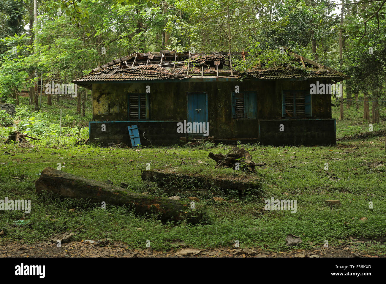 Altes verlassenes Haus in grünen Hintergrund. Stockfoto