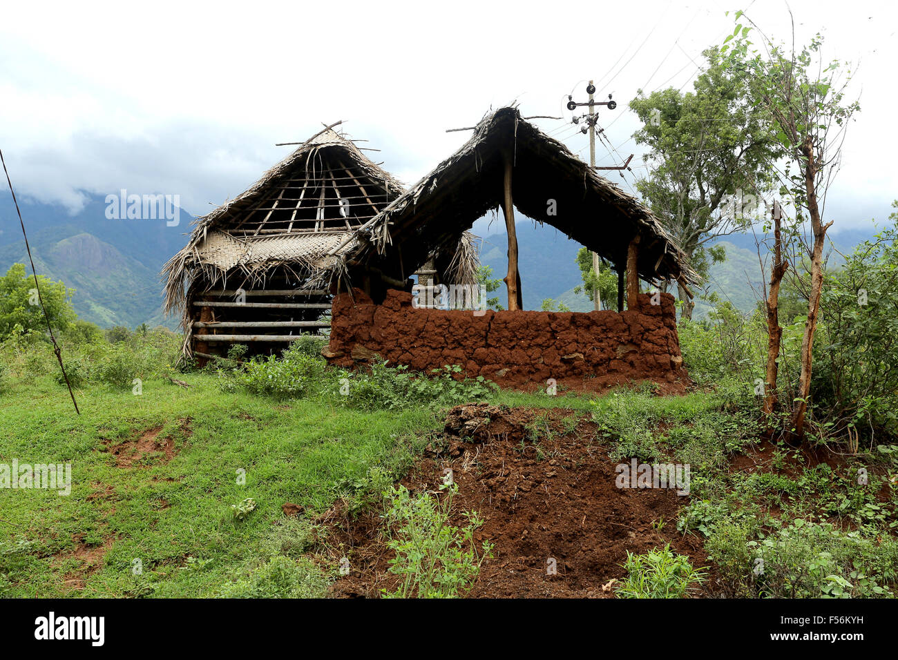 Ein Schuppen Haus für landwirtschaftliche Zwecke gemacht mit Schlamm und Palm Blätter Stockfoto
