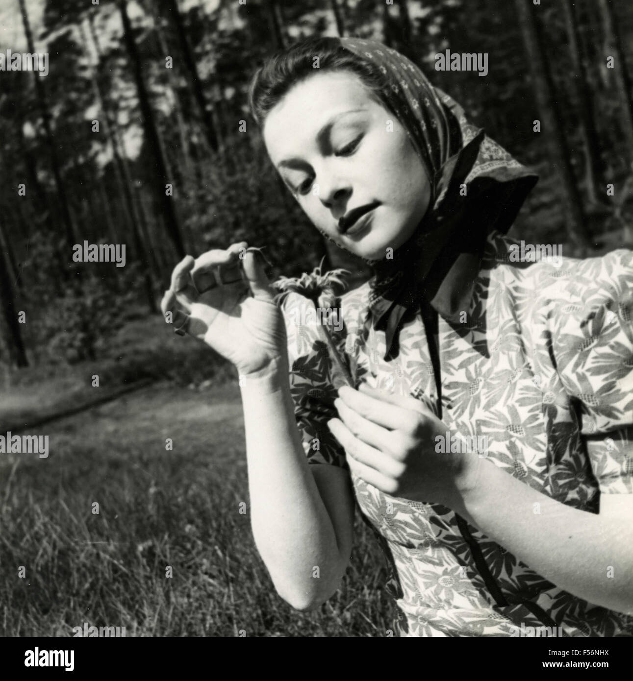Deutsche Schauspielerin Ilse Werner durchsuchen ein Gänseblümchen, Deutschland Stockfoto