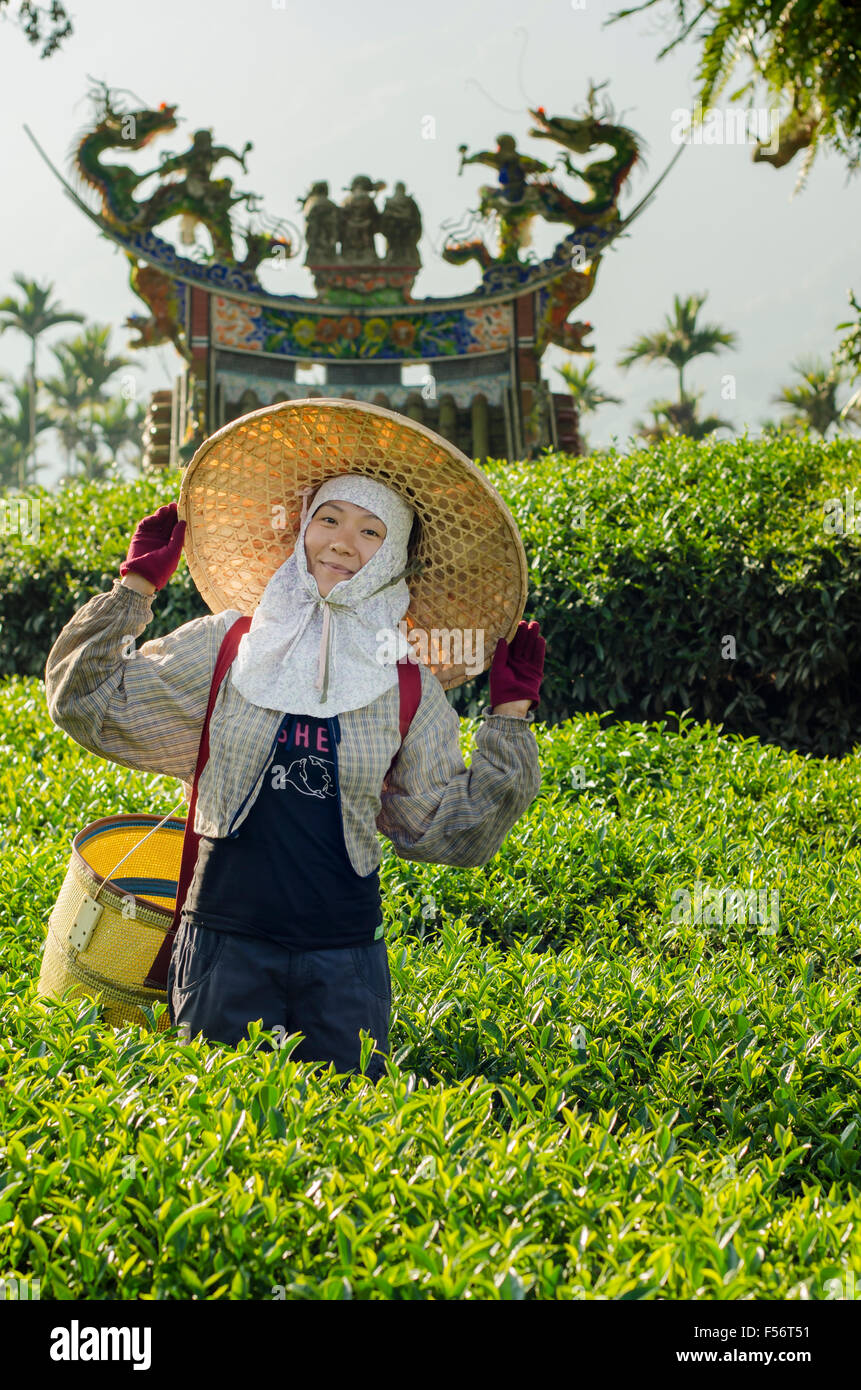 Taiwanesischen Tee-Picker in traditioneller Tracht posiert für ein Foto mit einem Tempel im Hintergrund Stockfoto