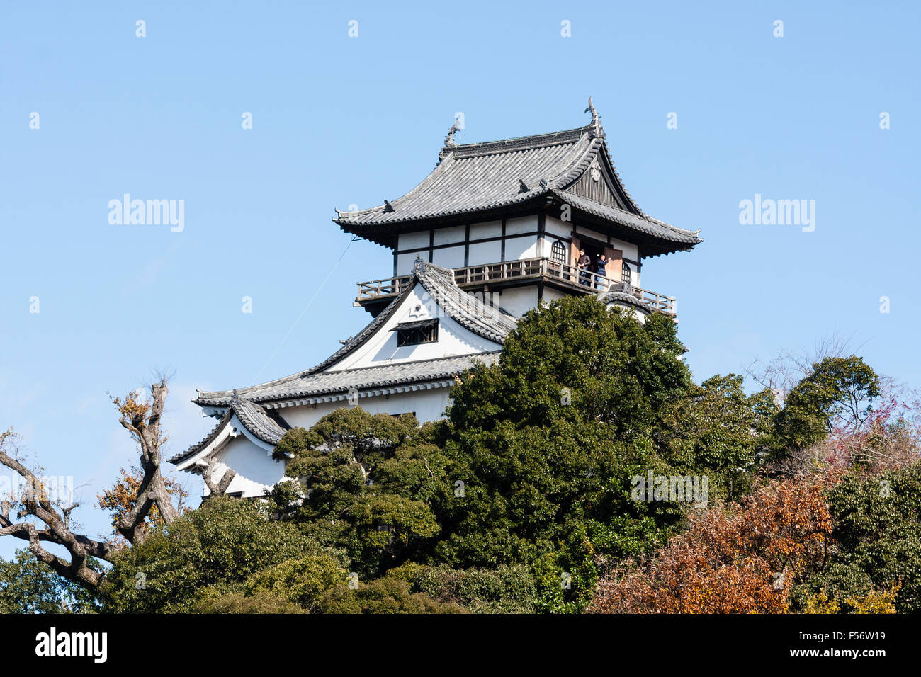 Japan, Inuyama Castle auch bekannt als Hakutei Jo. Main borogata Stil gegen den blauen Himmel, auf einem Hügel, umgeben von Bäumen. Stockfoto