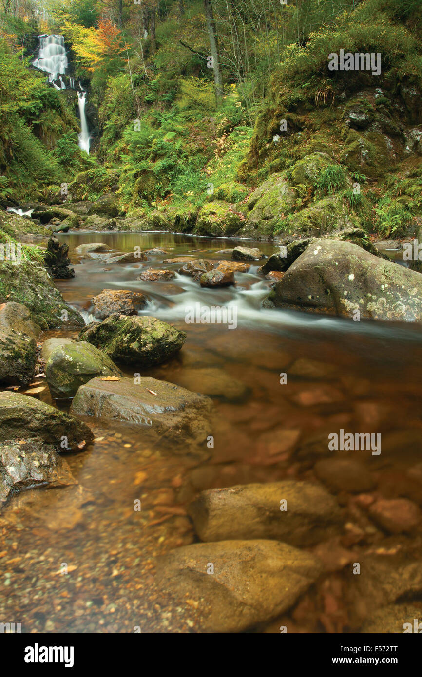 Little Fawn Falls, der Kalk Craig Trail in der Nähe von Aberfoyle, Loch Lomond und Trossachs National Park, Stirlingshire Stockfoto