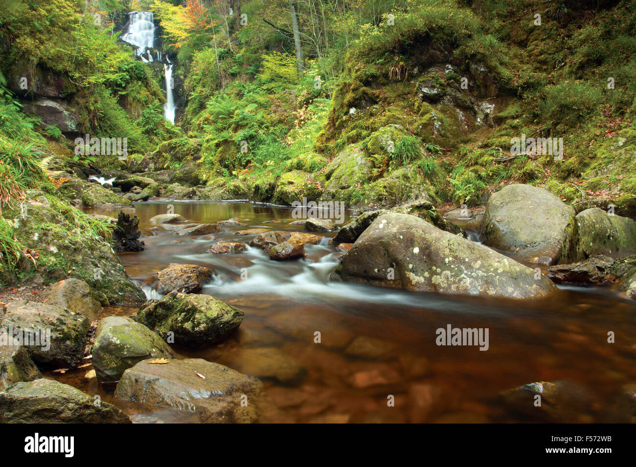 Little Fawn Falls, der Kalk Craig Trail in der Nähe von Aberfoyle, Loch Lomond und Trossachs National Park, Stirlingshire Stockfoto