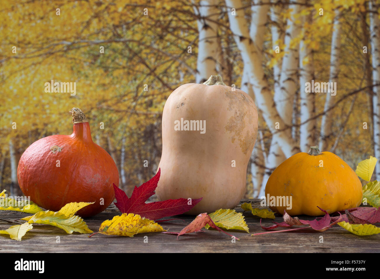 Herbst-Gemüse Stockfoto