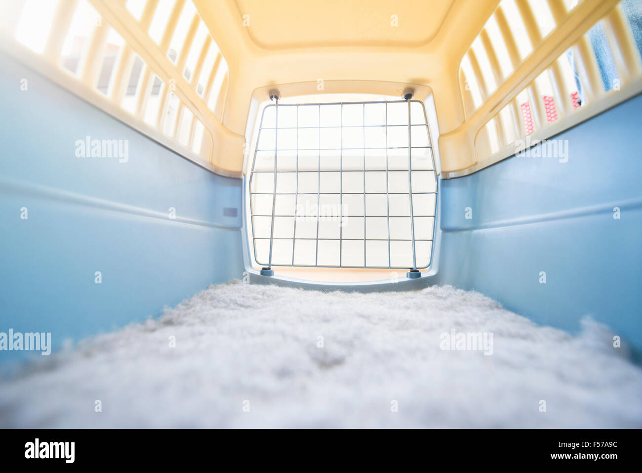 Reisen mit Heimtieren Käfig Innenraum. Box für Hund oder Katze Tranport verwendet. Stockfoto