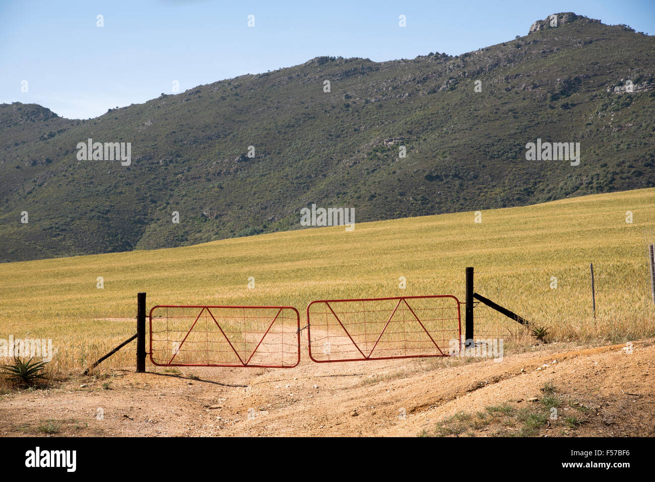 Paar rote farbige gesperrt Bauernhof Tore in der Region Swartland, Südafrika Stockfoto