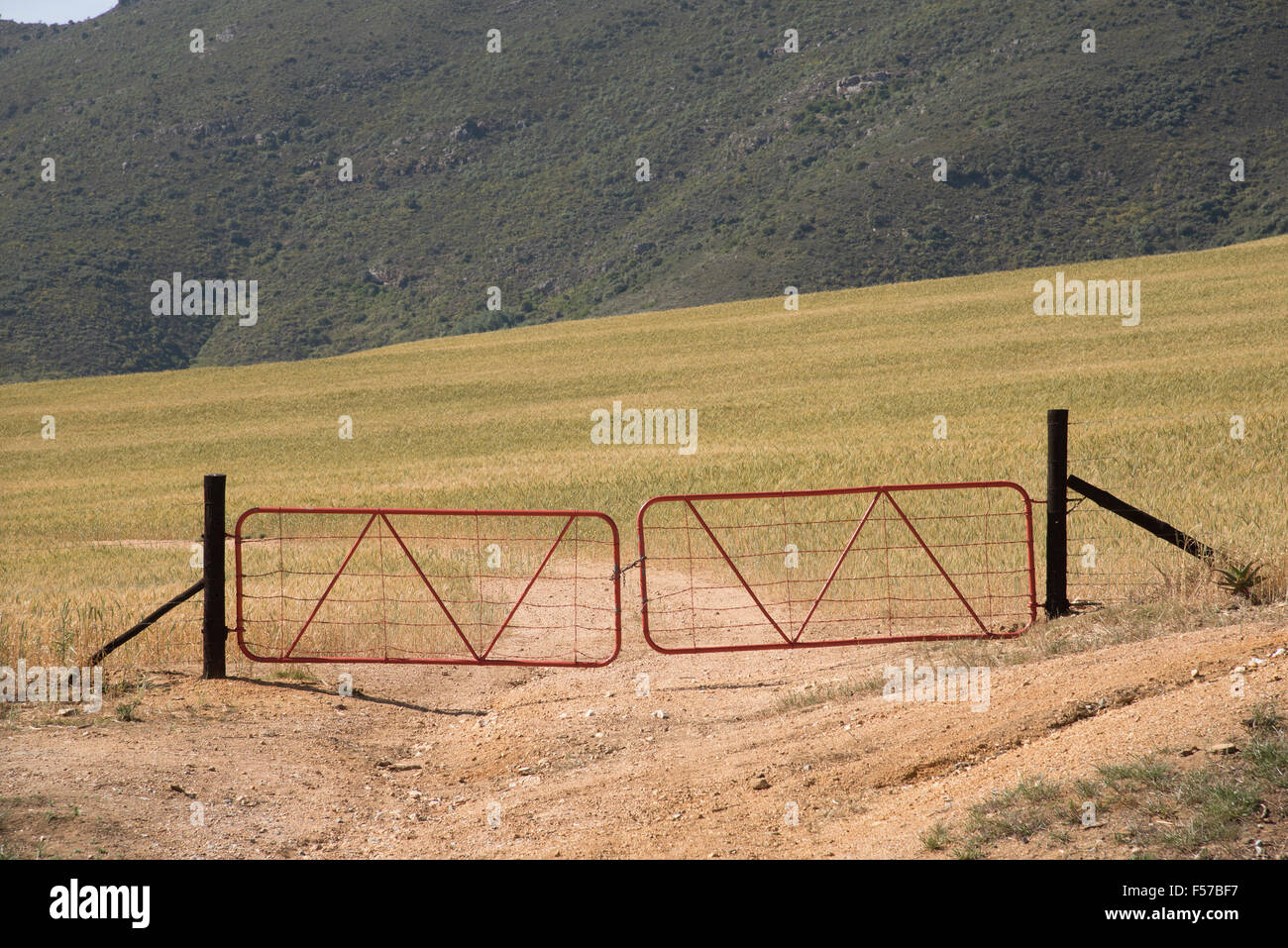 Paar rote farbige gesperrt Bauernhof Tore in der Region Swartland, Südafrika Stockfoto