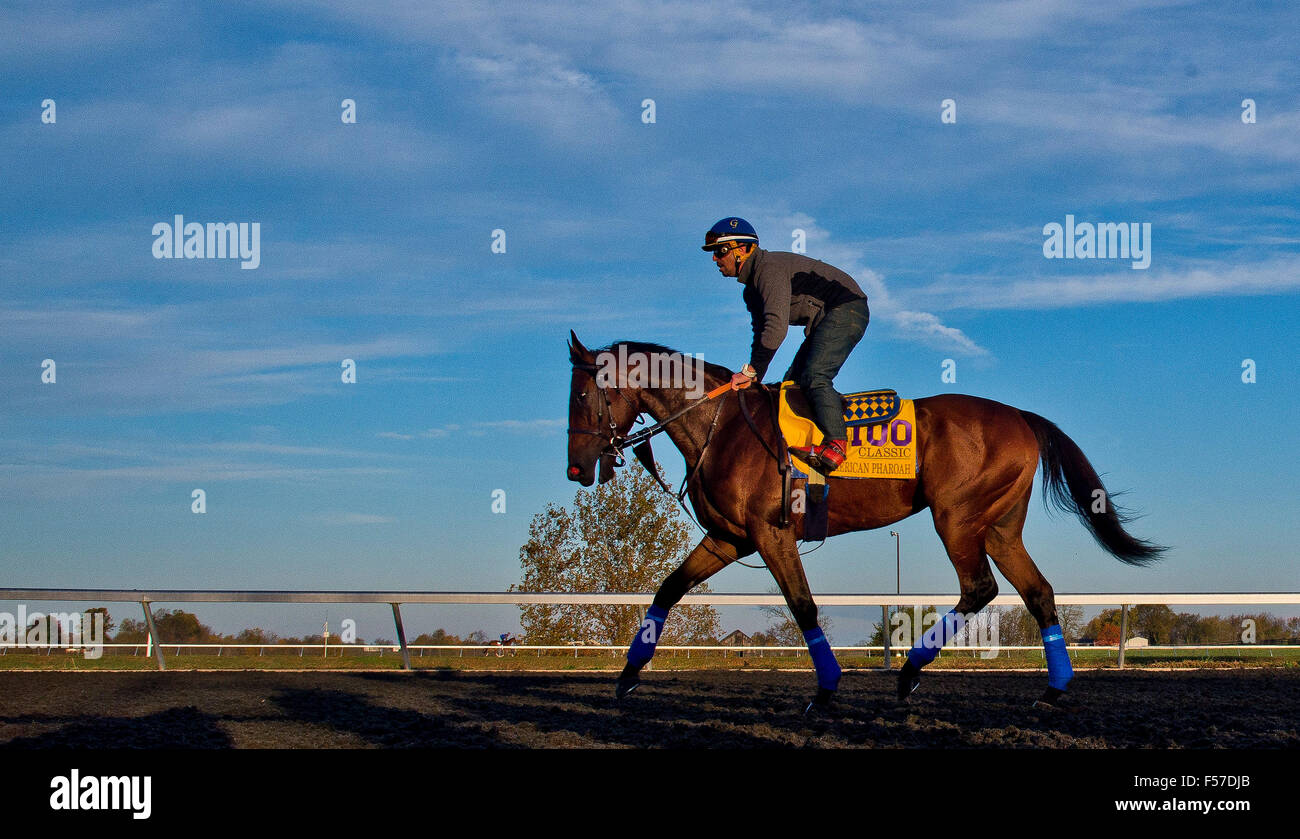 Lexington, Kentucky, USA. 29. Oktober 2015. 29. Oktober 2015: Amerikanisches Pharoah, von Bob Baffert geschult und im Besitz von Zayat Stables, LLC, Übungen in Vorbereitung auf den Breeders' Cup Classic bei Keeneland Race Track in Lexington, Kentucky am 29. Oktober 2015. Scott Serio/ESW/CSM/Alamy Live-Nachrichten Stockfoto