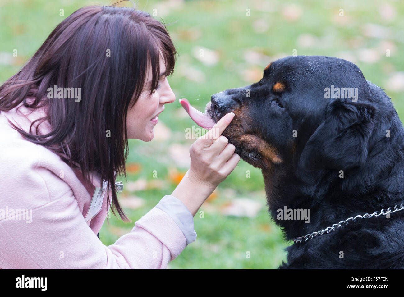 London, UK. 29. Oktober 2015. Melanie Onn MP, große Grimsby, mit ihrem Rottweiler-Sam. Mitglieder des Parlaments und ihre Hunde Pfoten für einen Sieg in der jährlichen Westminster Dog of the Year Wettbewerb organisiert von Dogs Trust und der Kennel Club. Bildnachweis: Lebendige Bilder/Alamy Live-Nachrichten Stockfoto