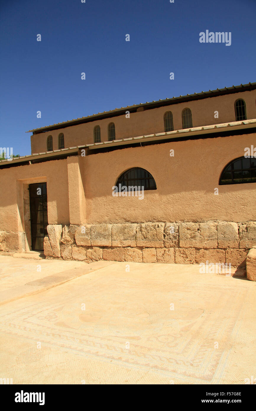 Samaria, ein Bodenmosaik durch die rekonstruierte byzantinische Basilika in Tel Shiloh Stockfoto