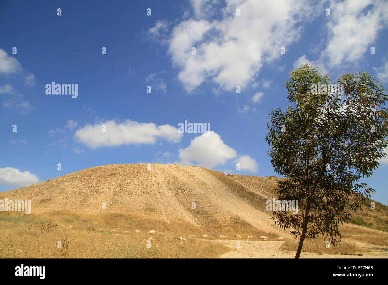 Israel, Tel Gamma im nördlichen Negev, Standort der kanaanäischen Stadt Yurzah Stockfoto