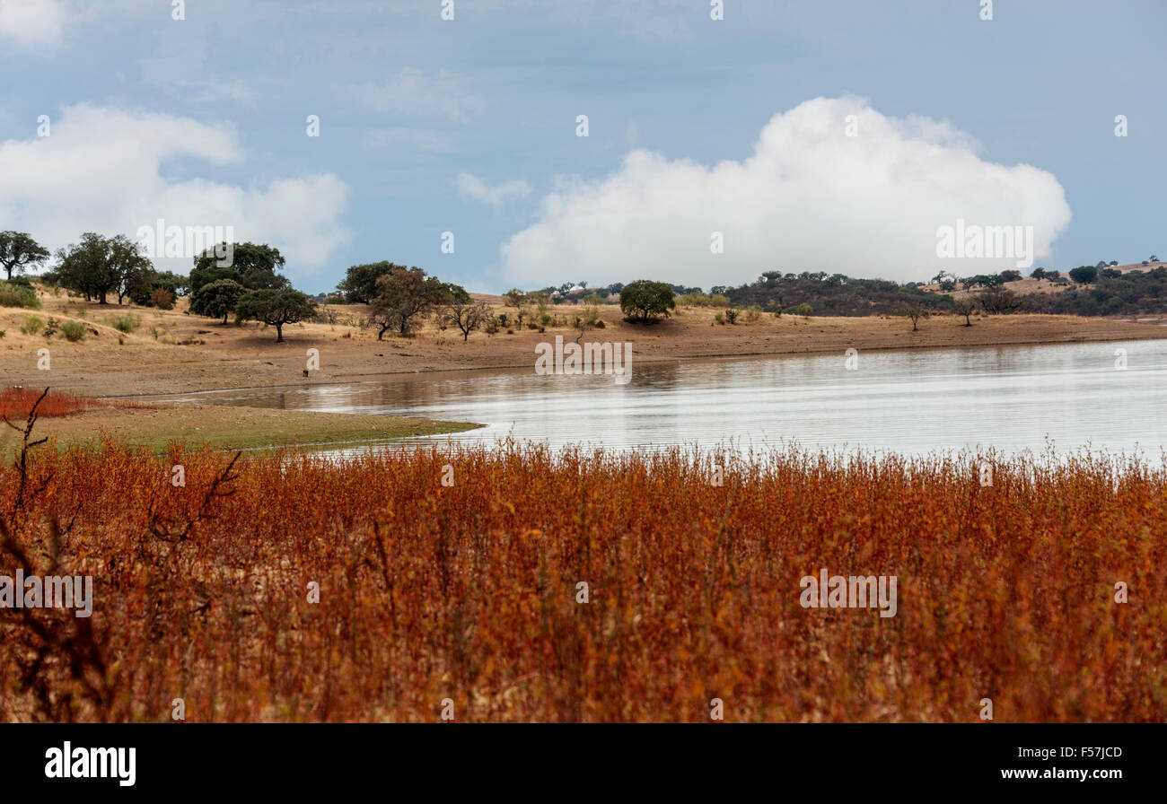 Wasser im See Teich im Alentejo-mPortugal in der Nähe von Moura Stockfoto