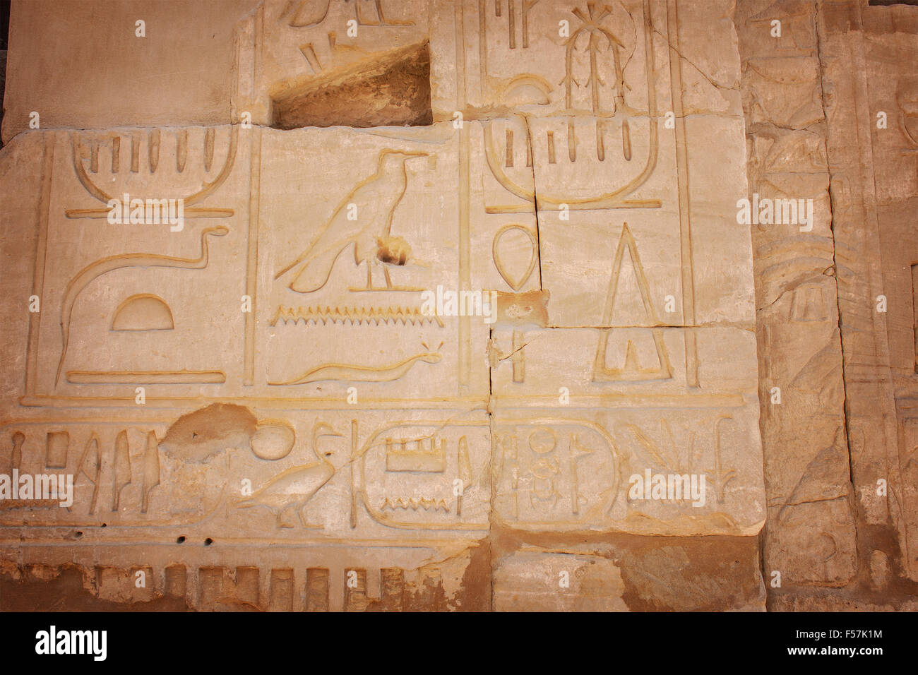 Bild der geschnitzten Bilder im Tempel von Karnak, Ägypten. Stockfoto