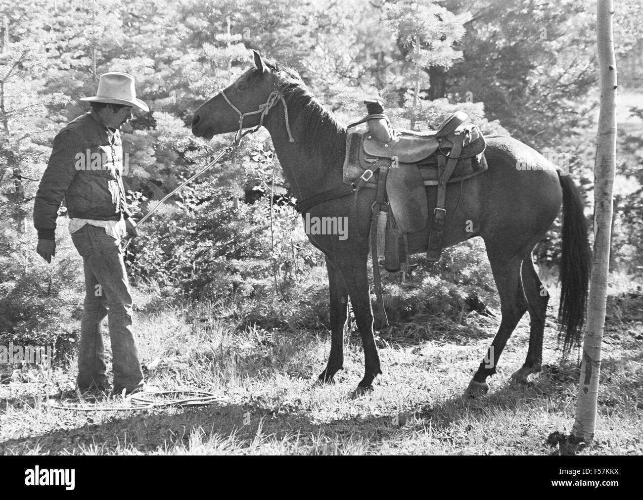 Ein Ranch Cowboy sattelt sein Pferd in einem Kuh-Camp in den Tusas Bergen des nördlichen New Mexico Stockfoto