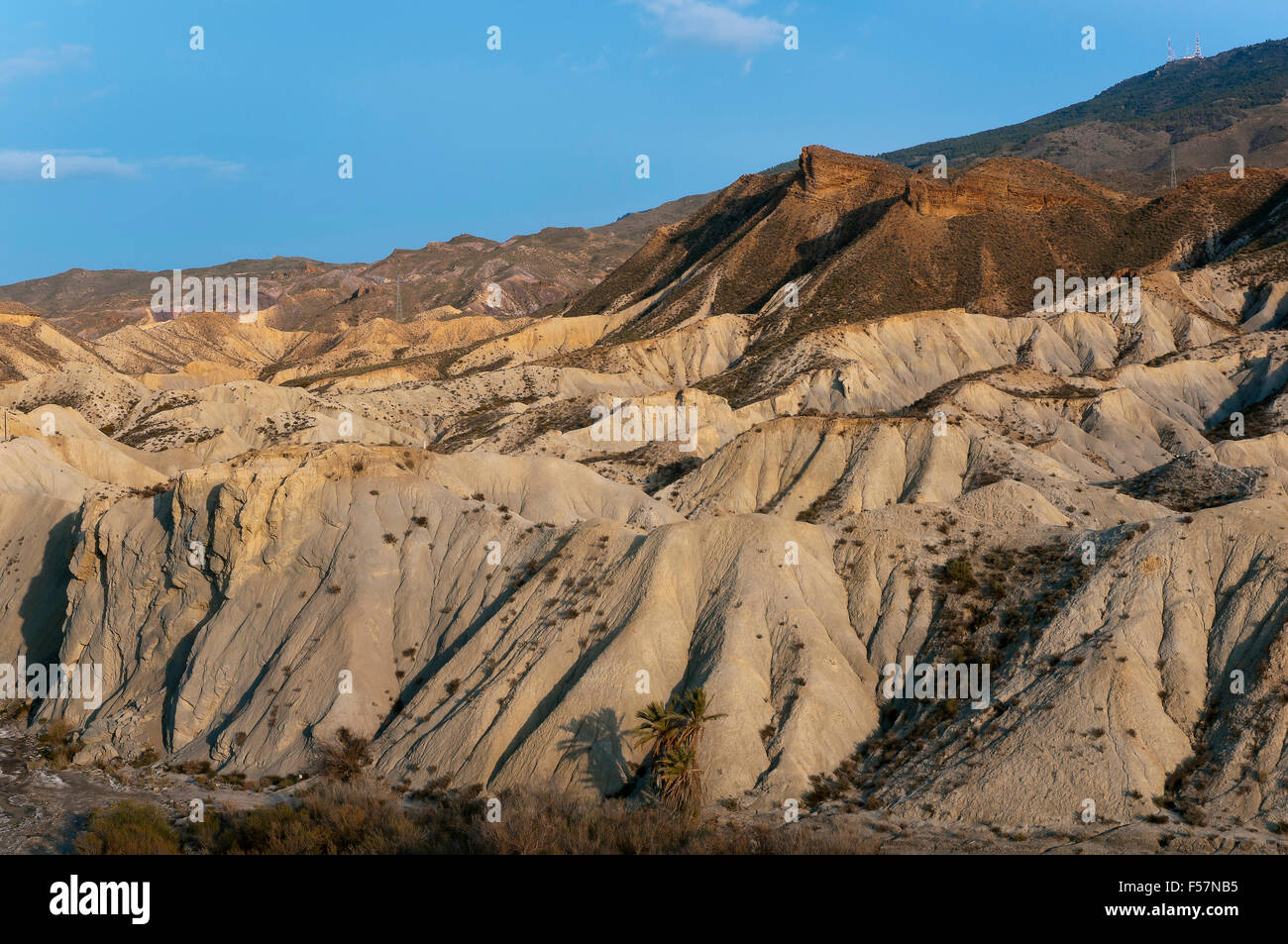 Natürlichen Ort Tabernas-Wüste, Provinz Almeria, Region von Andalusien, Spanien, Europa Stockfoto