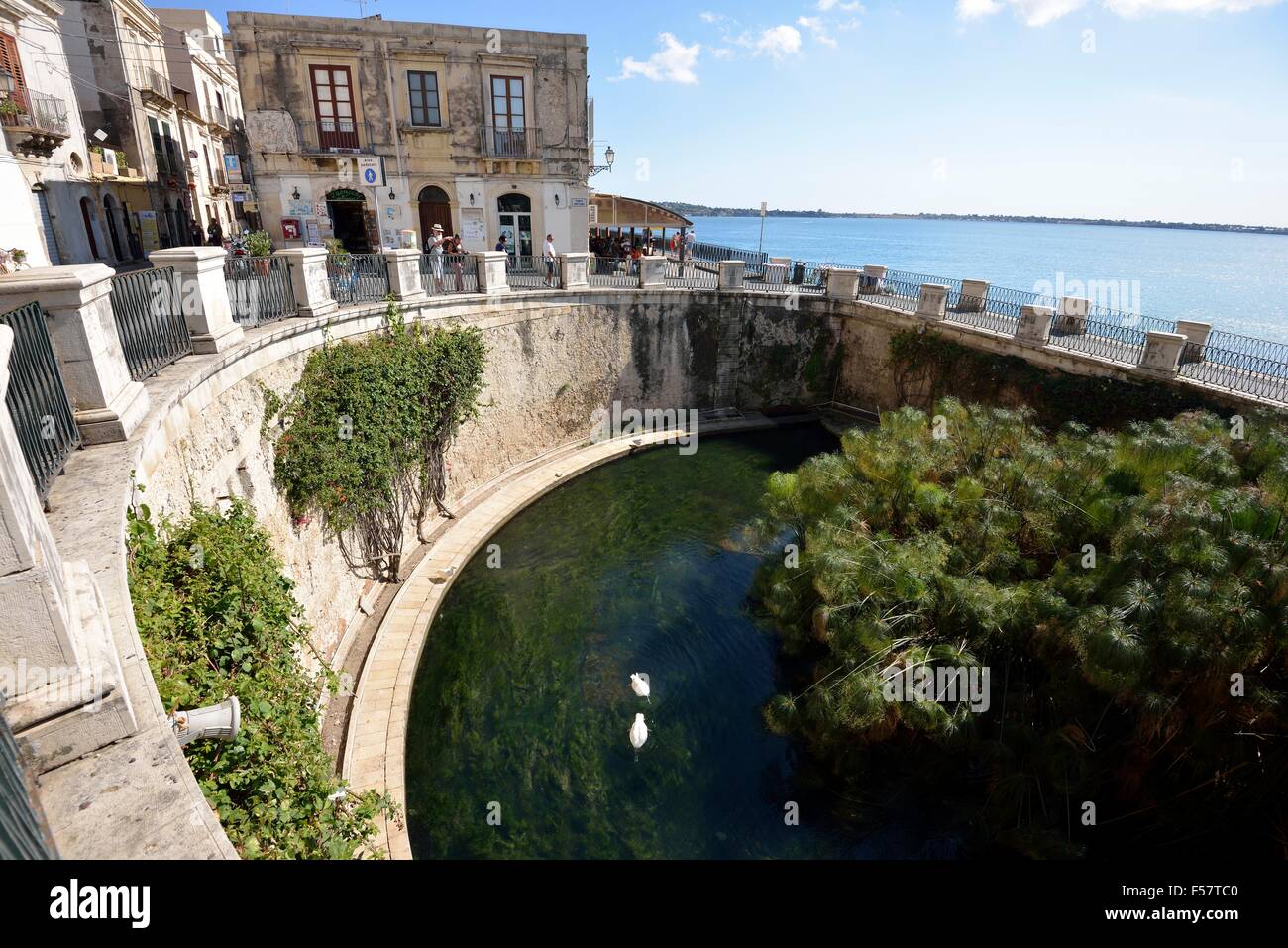 Quelle Arethusa Stockfotos Und bilder Kaufen Alamy