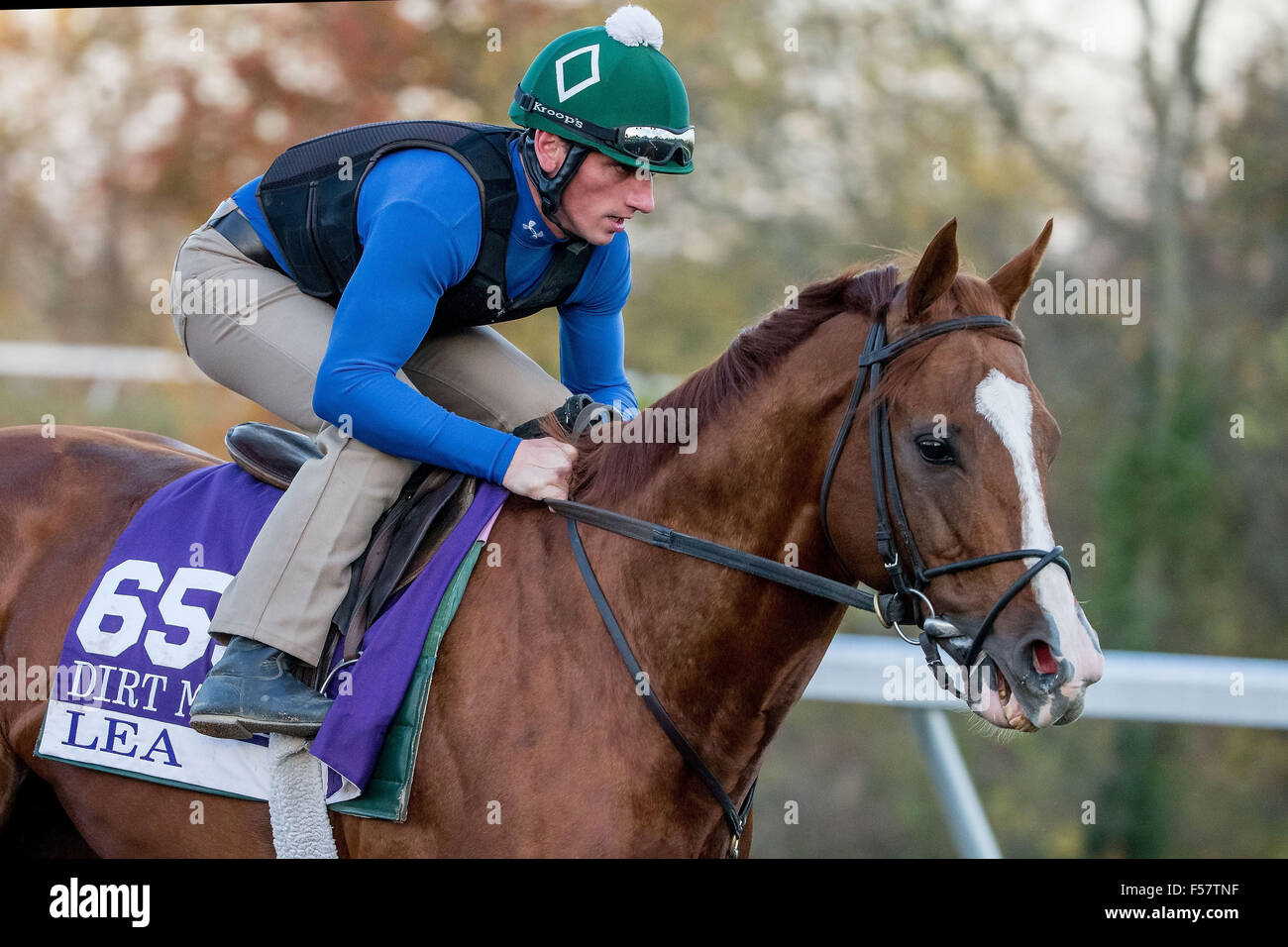 Lexington, KY, USA. 29. Oktober 2015. 29. Oktober 2015: Lea, von William I. Mott geschult und im Besitz von Claiborne Farm & Adele Dilschneider, Übungen zur Vorbereitung der Breeders' Cup Mile bei Keeneland Race Track in Lexington, Kentucky am 29. Oktober 2015. Jon Durr/ESW/CSM/Alamy Live-Nachrichten Stockfoto