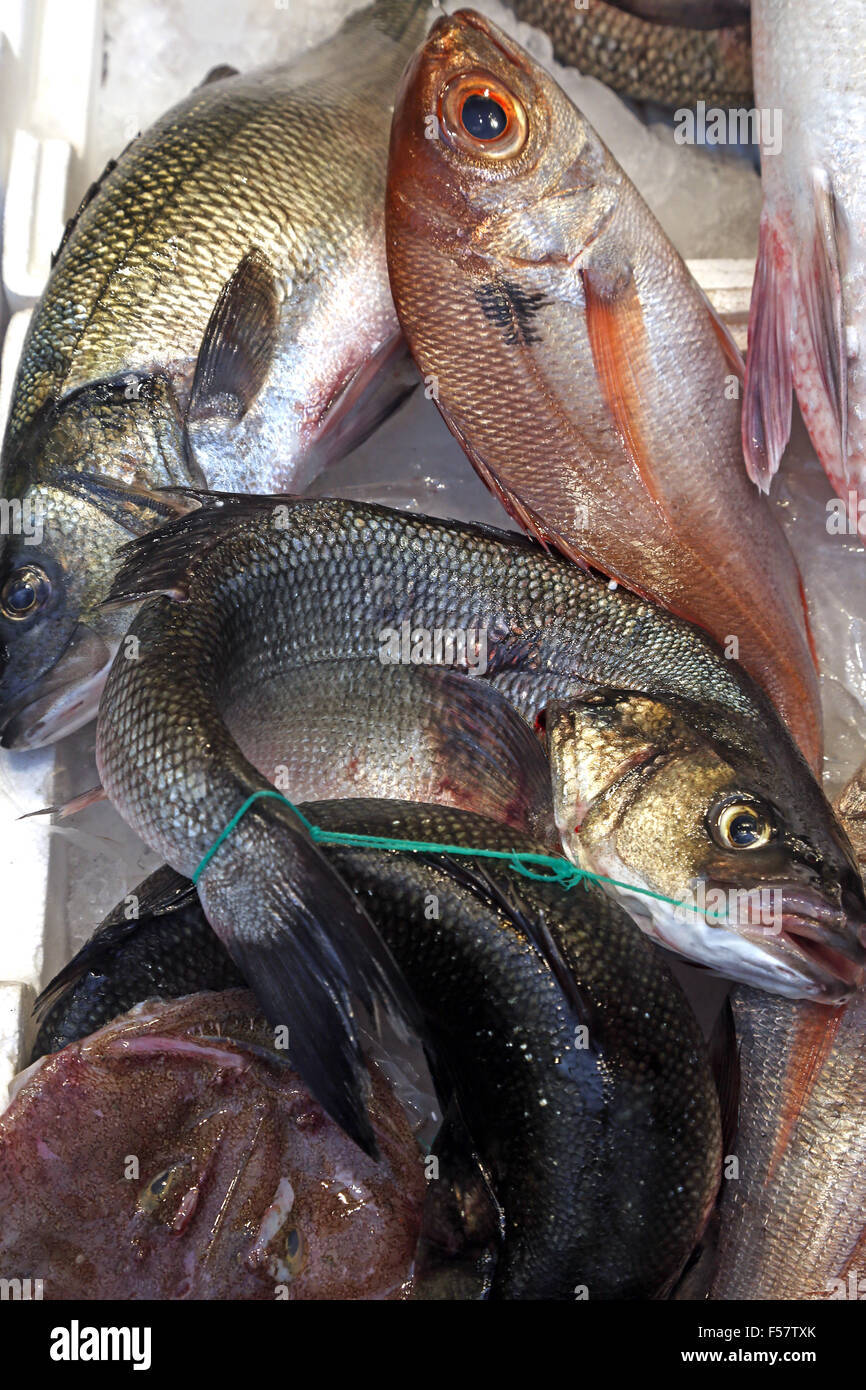 Frische Meeresfruchte Meeresfruchte Fisch Ernahrung Angeln Branzino Spigola Futtern Stockfotos Und Bilder Kaufen Alamy