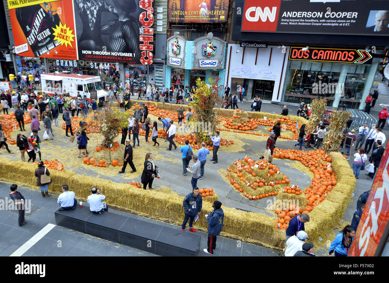 New York, USA. 29. Oktober 2015. Ein Pop-up-Kürbisbeet ist für Halloween am Times Square als Promotion für die App Google Fotos, in New York, USA, 29. Oktober 2015 eingerichtet. Besucher können wählen aus Tonnen von kostenlosen Kürbisse und genießen Sie live-Kürbis-Schnitzereien. © Wang Lei/Xinhua/Alamy Live-Nachrichten Stockfoto