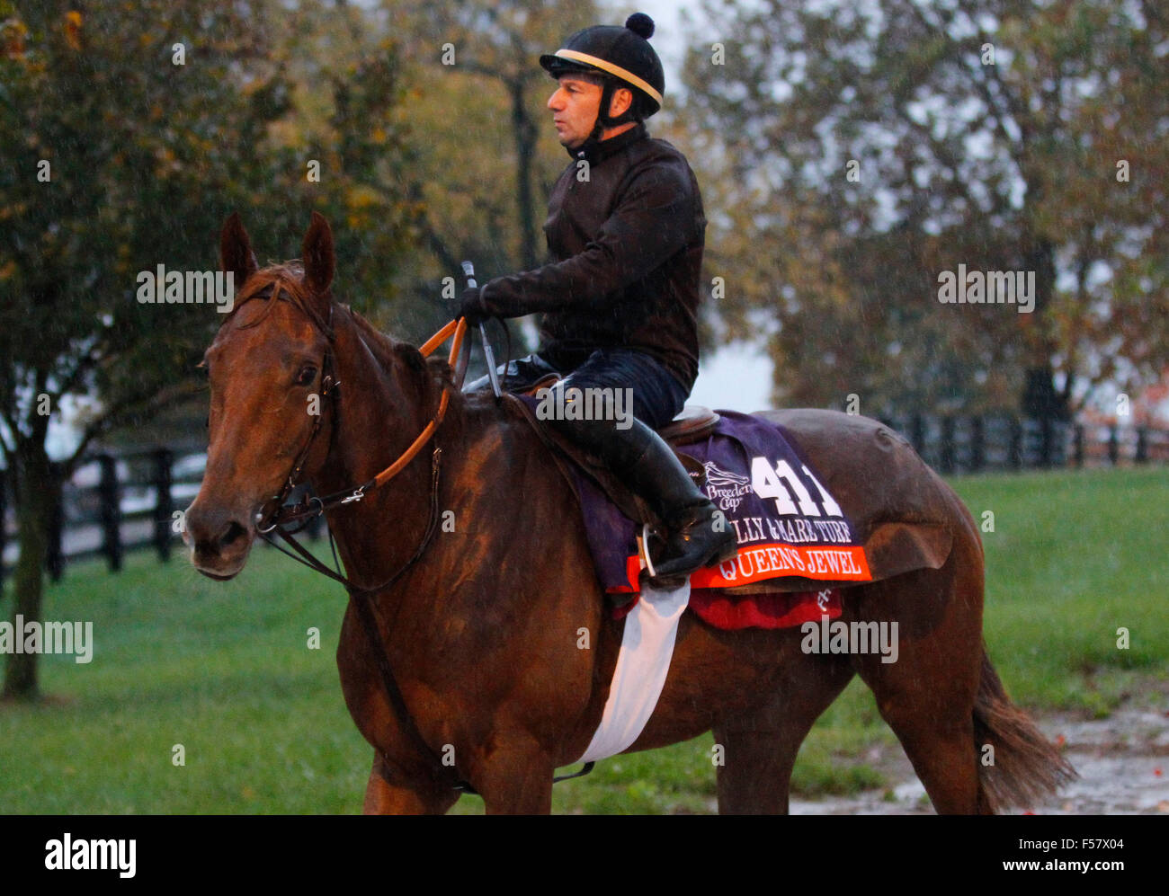 Lexington, KY, USA. 28. Oktober 2015. 28. Oktober 2015: Queen es Juwel von Freddy Head geschult und im Besitz von Wertheimer et Frere, wird in des Züchters Cup Filly & Mare Turf $2.000.000 eingetragen. Candice Chavez/ESW/CSM/Alamy Live-Nachrichten Stockfoto