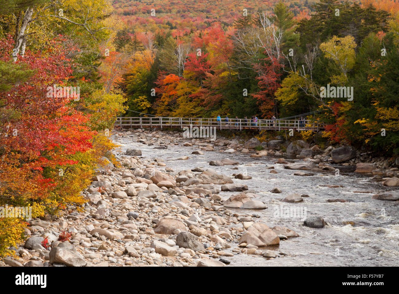 Der Pemigewasset River auf dem Kancamagus Highway im Herbst, White Mountains, New Hampshire, USA Stockfoto
