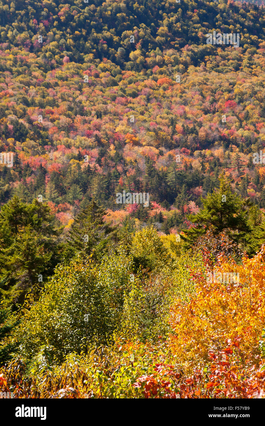 Herbstfärbung Blatt entlang den Kancamagus Highway, White Mountains, New Hampshire New England USA Stockfoto