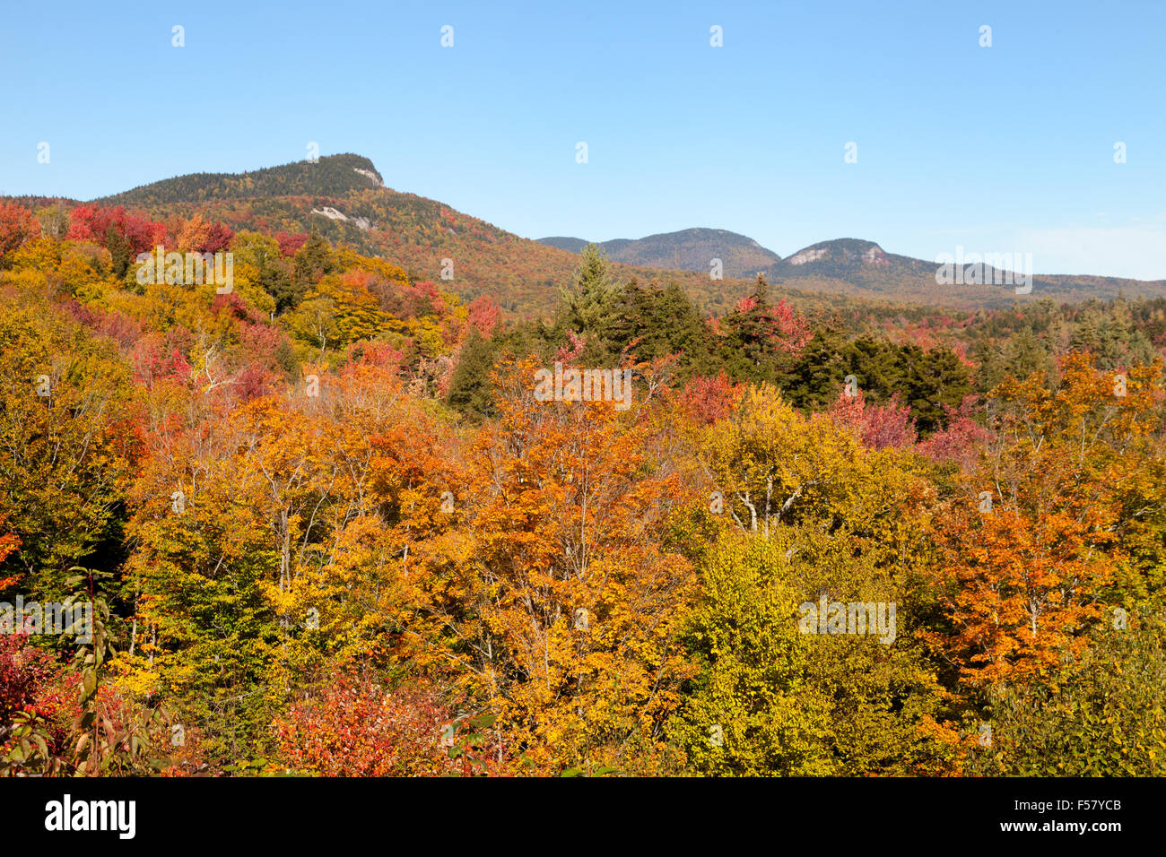 Herbstfärbung und grünen Klippe, Sugar Hill Vista, dem Kancamagus Highway White Mountain National Forest, New Hampshire USA Stockfoto