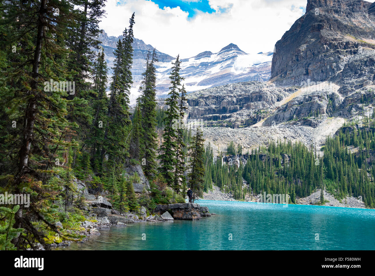 Mit Blick auf malerische Lake O'hara im Yoho-Nationalpark, Kanada Stockfoto