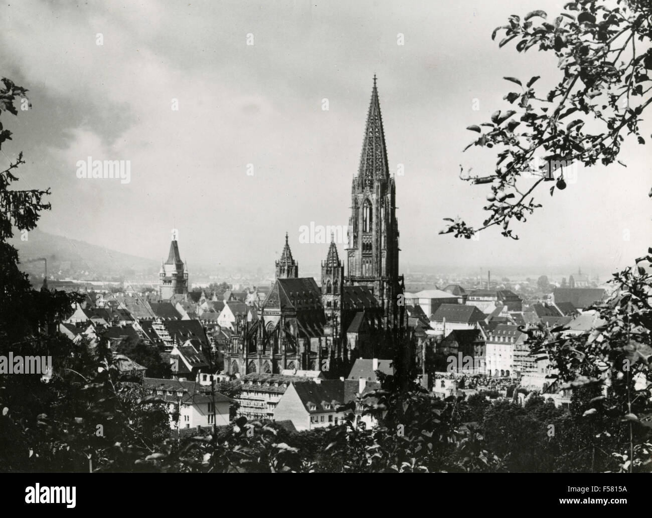 Blick auf den Dom, Freiburg, Deutschland Stockfoto