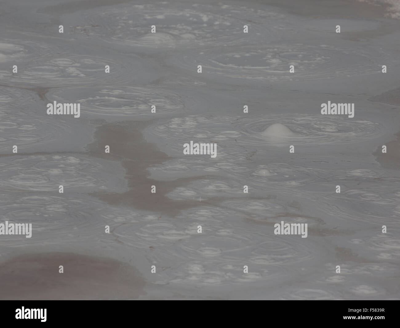 Mus Töpfe von Yellowstone, farbige sprudeln und dicken Sahne spritzt, Schlamm, Geysir, Frühling. Stockfoto