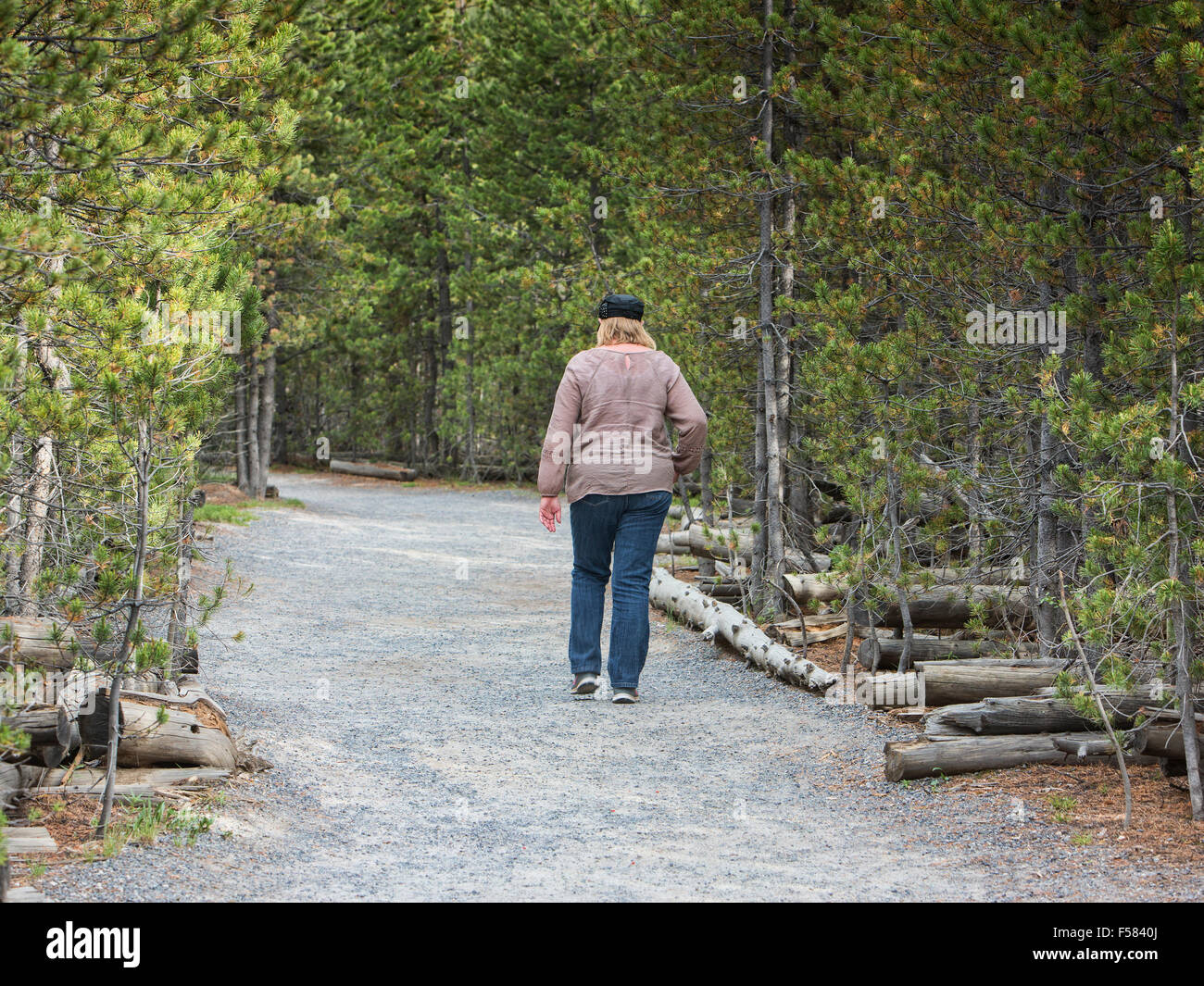 Frau Spaziergänge, Wanderungen entlang Weg Geysire im Yellowstone-Nationalpark Stockfoto