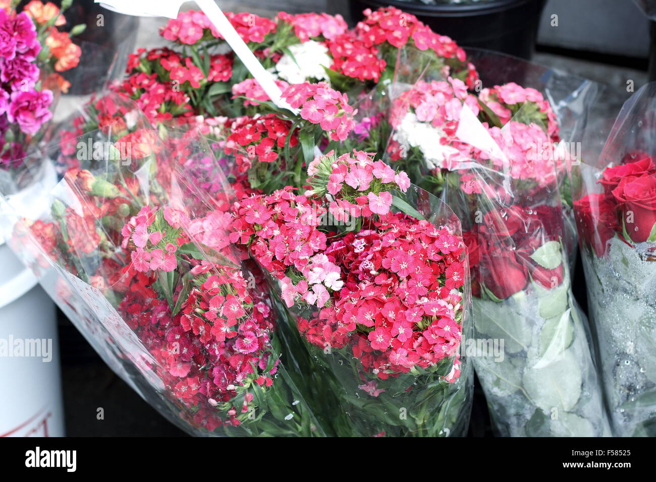Blumen verkauf Fotos und Bildmaterial in hoher Auflösung Alamy