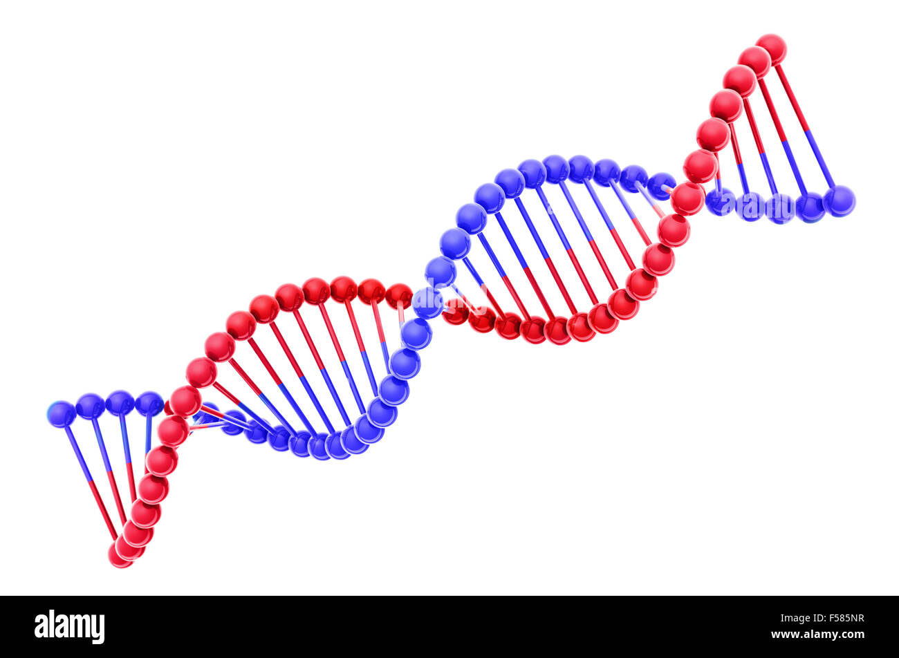 DNA-Helix Stockfoto