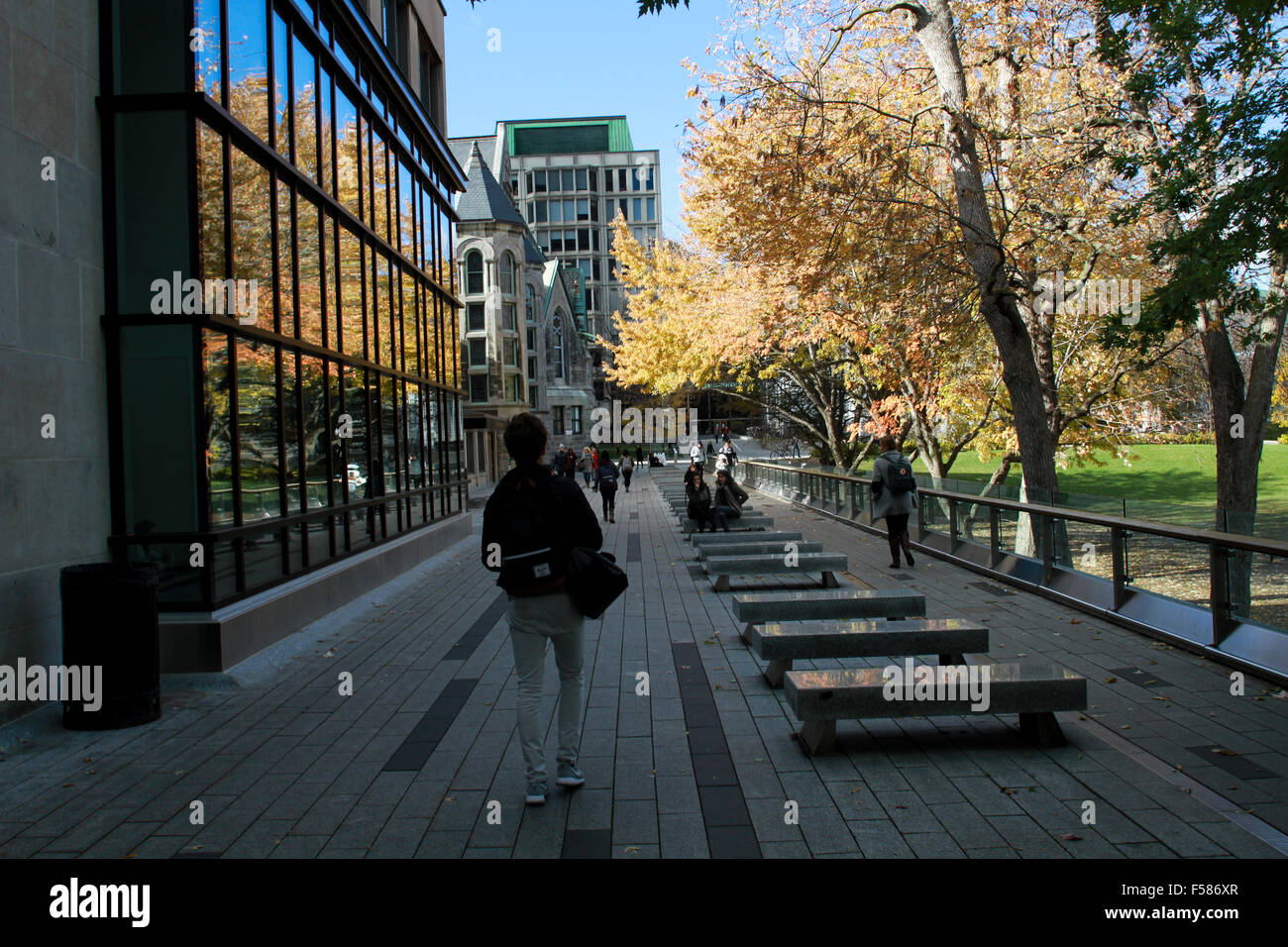 Die Bibliothek an der McGIll University in Montreal, Quebec Stockfoto