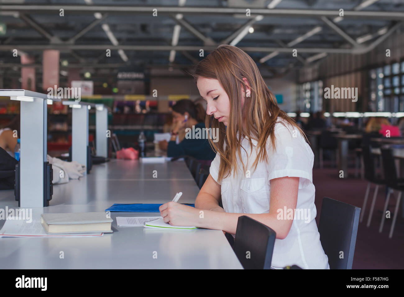 In Bibliothek Arbeiten Ohne Ausbildung