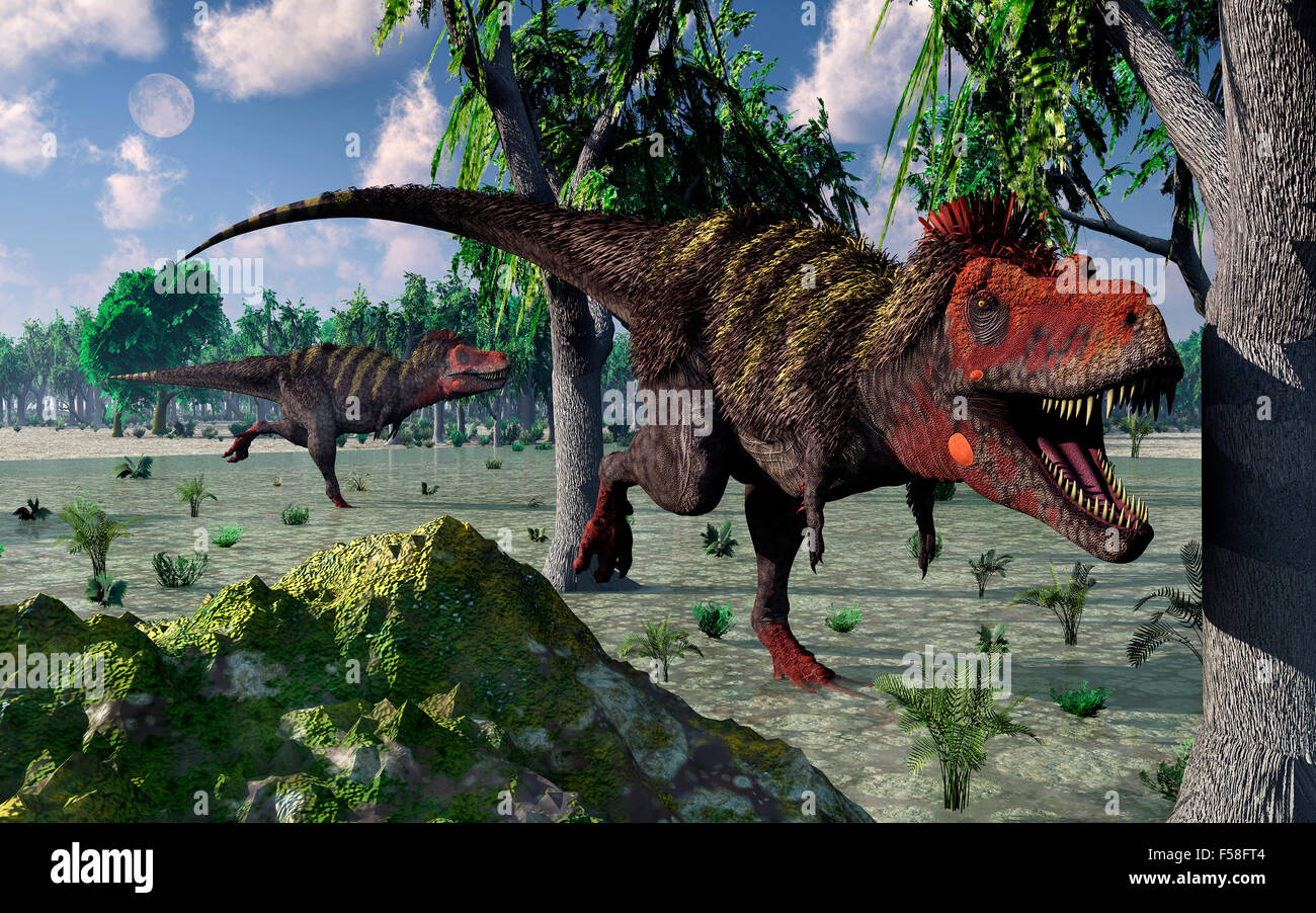 Ein paar Tarbosaurus Scavaging für Lebensmittel. Stockfoto