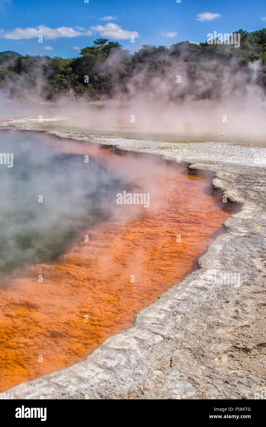 Champagne Pool im Waiotapu Thermal Wonderland in Neuseeland Stockfoto