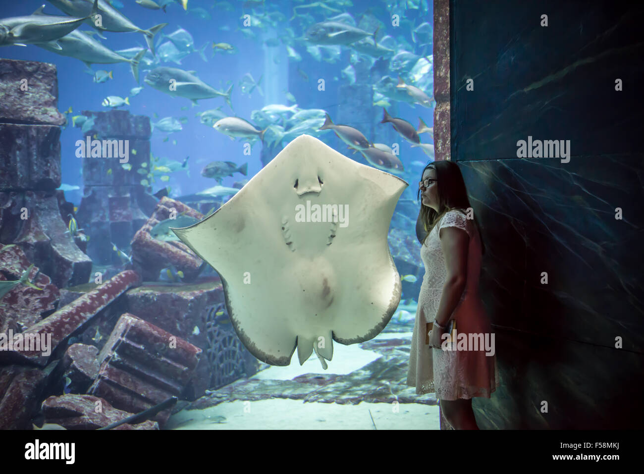 Großen Ray im Palm Atlantis Hotel Dubai Stockfoto